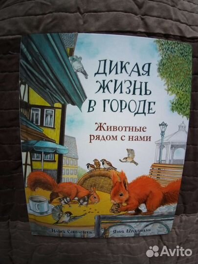 Дикая жизнь в городе. Животные рядом с нами
