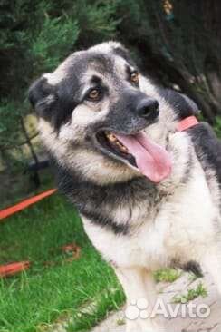 Забери меня домой