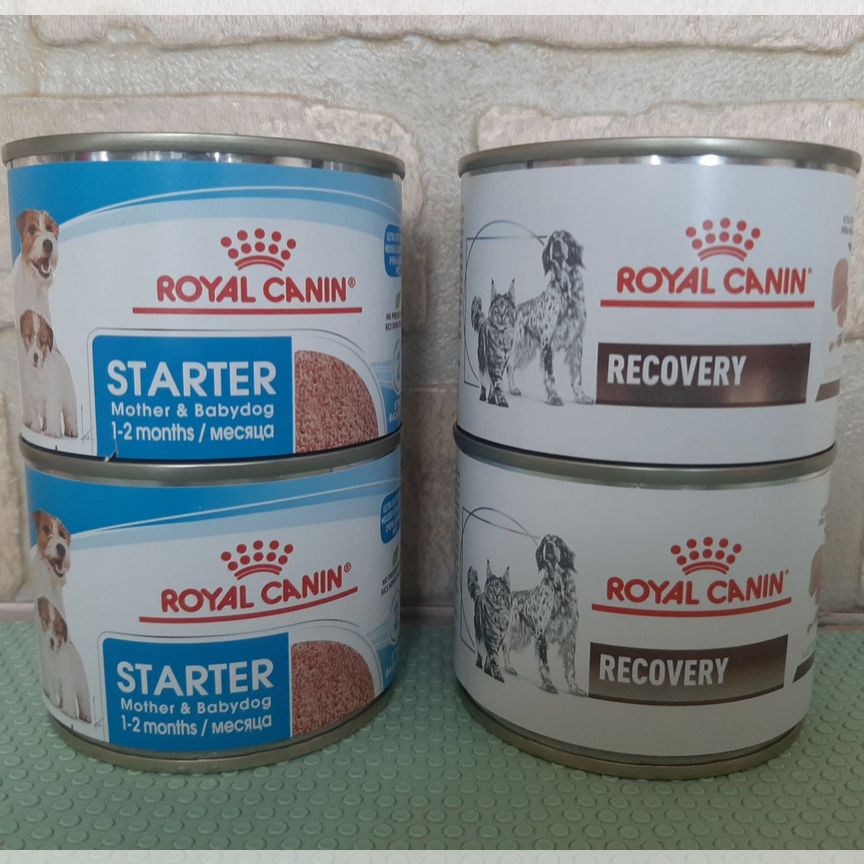 Влажный корм Royal canin Starter mousse и Recovery