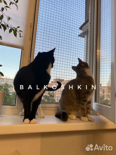 Балкон для кошки, вольер для кошки, антикошка