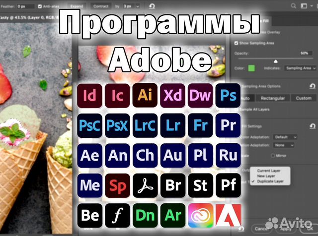 Программы Адоб
