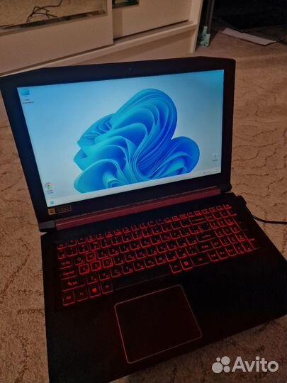 Acer nitro