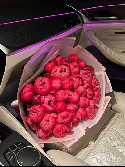 Плюшевый мишка