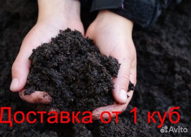 Чернозем