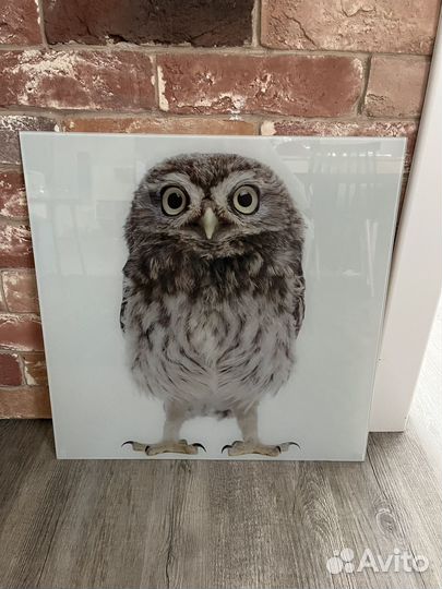 Сова. Картина стеклянная