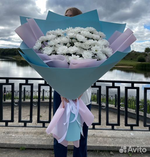 Букет Гигант из Хризантем. Доставка/Самовывоз