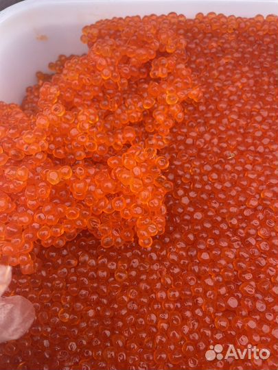 Икра красная