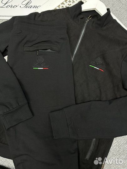 Мужская спортивный костюм Loro piana