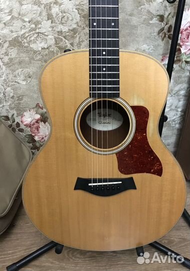 Taylor GS Mini plus