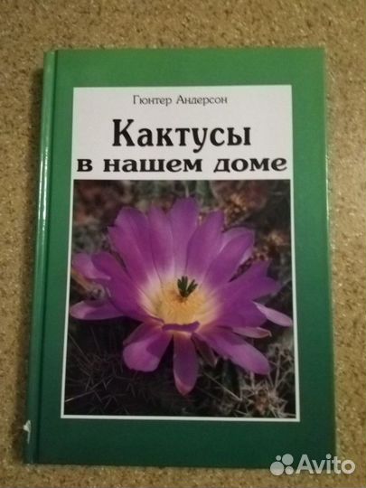 Гюнтер Андерсон Кактусы в нашем доме