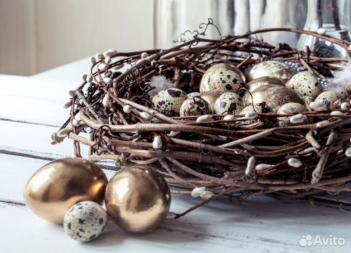 Упаковщик яиц вахта без опыта 15 на 15