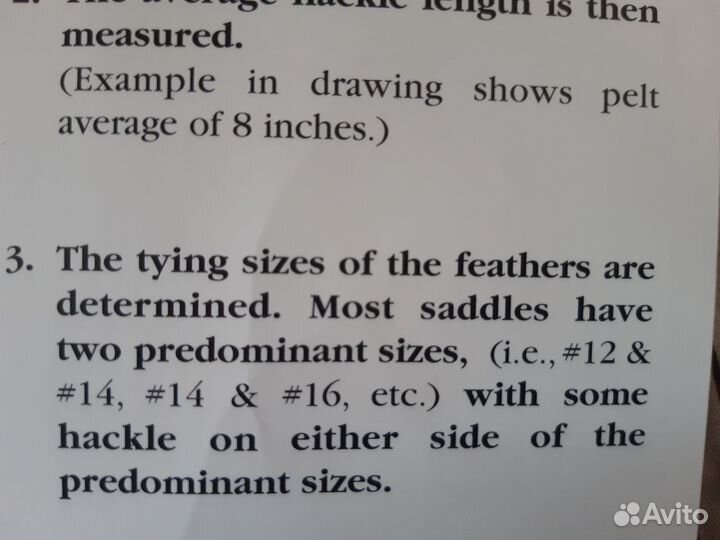 Перья австралийского петуха