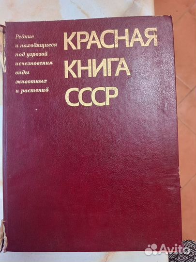 Старинные книги