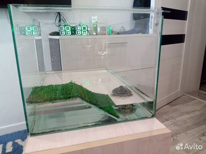 Террариум 30 литров с красноухой черепахой