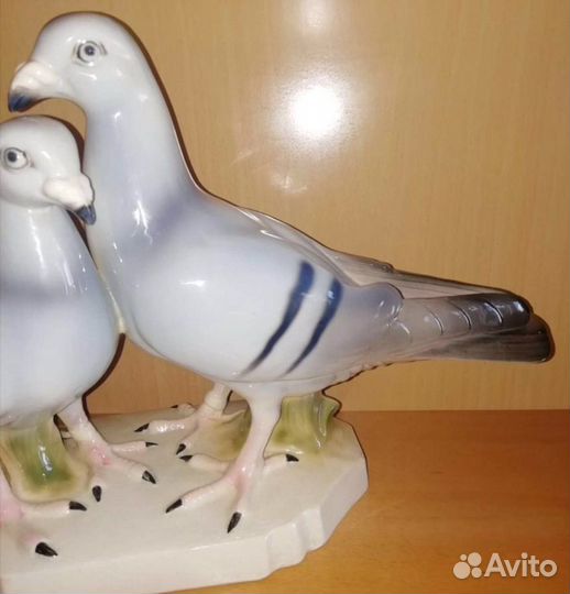 Пара немецких почтовых голубей ххl