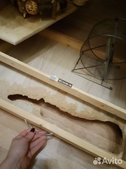 Витрина для дегу, шиншиллы