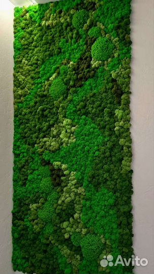 Панно из стабилизированного мха