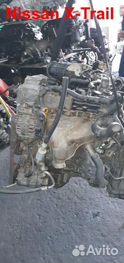 Двигатель QR25DE Nissan X-Trail