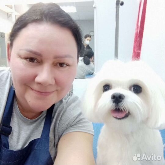 Стрижка собак