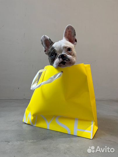 Модель для фотосессии