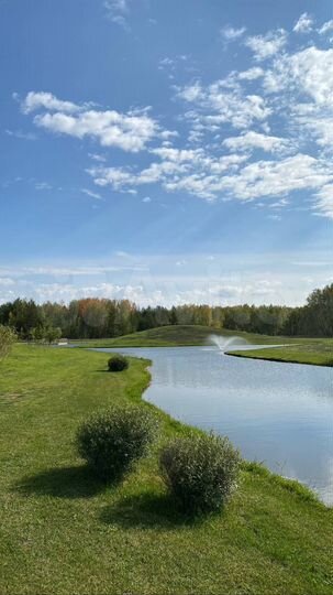 Участок 10 сот. (ИЖС)