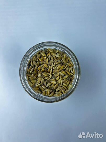 Расторопша / Семена расторопши