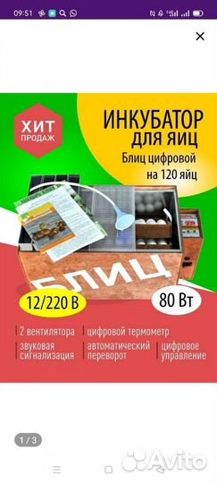 Инкубатор для яиц