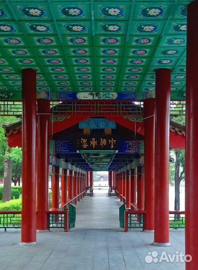 Репетитор по китайскому языку и английскому языкам