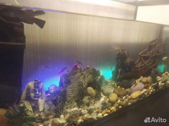 Аквариум комлект