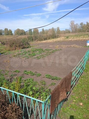 Дача 25 м² на участке 20 сот. на продажу в Плотниково | Купить дом в ...