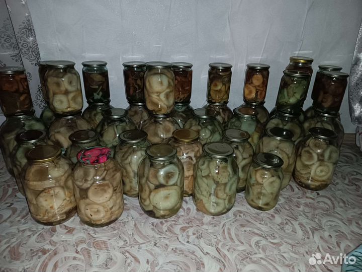 Грибы грузди соленые