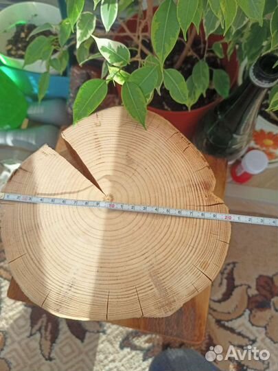 Деревянные спилы