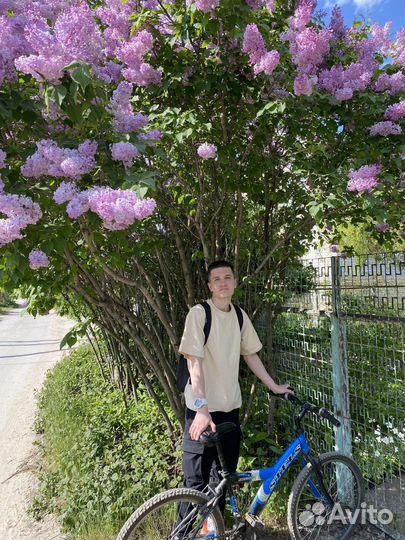 Тренер по шахматам