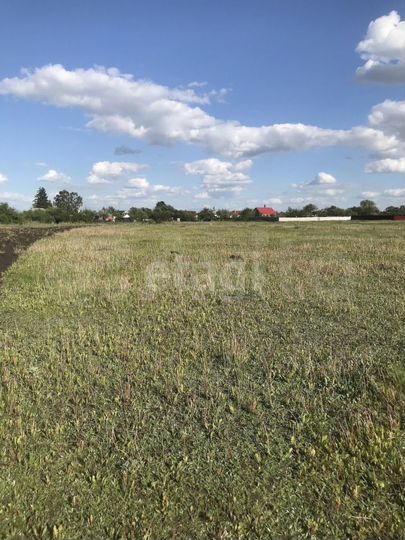 Участок 10 сот. (ИЖС)