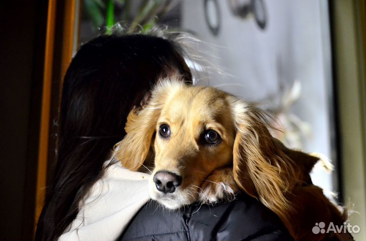 Фотограф анималист