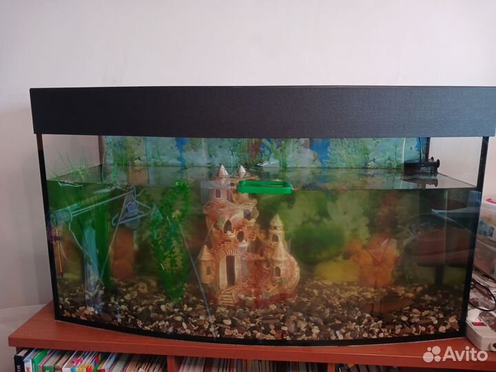 Аквариум 250 л. + украшения