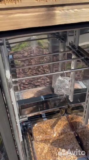 Коптильня копти и точка