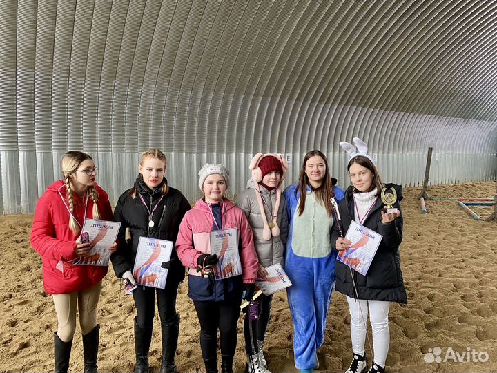 Конные прогулки, тренировки