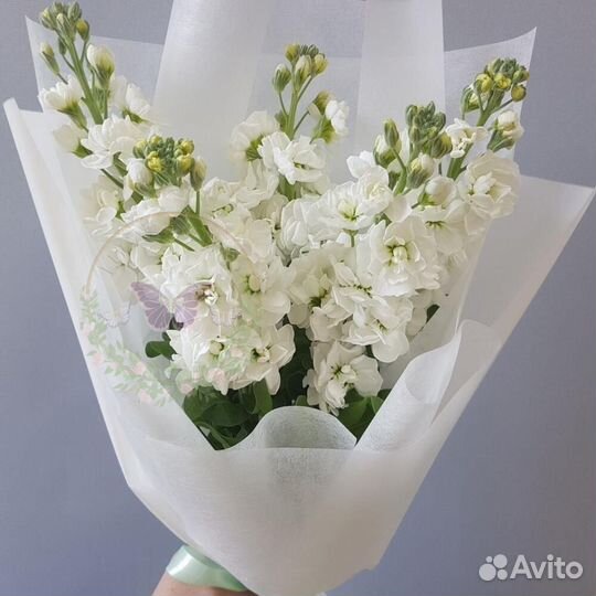 Букет ароматной Матиолы. Доставка