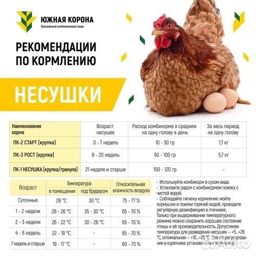 Комбикорм для кур несушек,телят,свиней