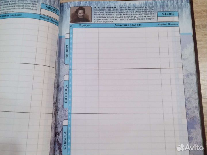 Дневник школьный