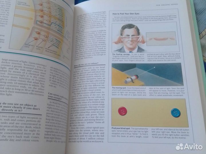 Энциклопедия мозга