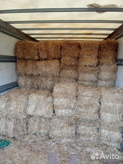 Солома в тюках (пшеничная, овсяная) с доставкой