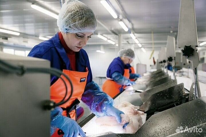 Разнорабочий на рыбное производство(Вахта 35 смен)