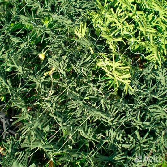 Маскировочная сетка