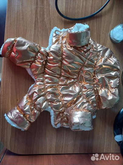 Вещи на той терьера