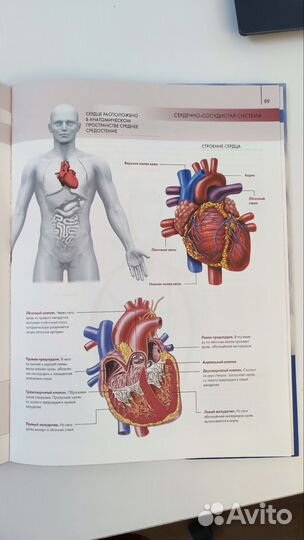 Анатомия человека. Большой атлас. Билич