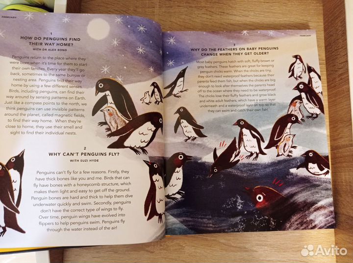 Everything under the sun энциклопедия