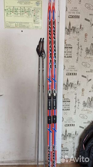 Лыжи беговые с палками