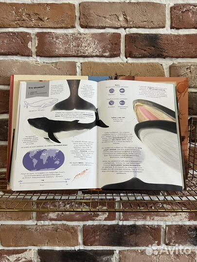 Комплект детских энциклопедий, энас-книга, 4 книги